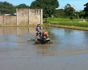 Once a beginner, one day an expert